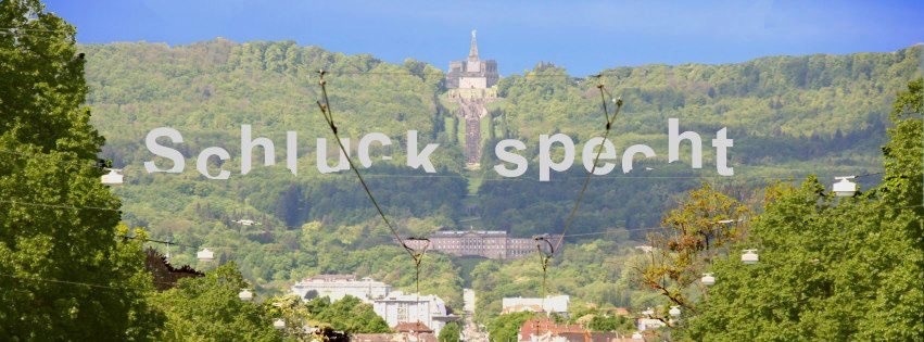 Bild vom Habichtswald mit Schloss Wilhelmshöhe und einmontiertem Schriftzug "Schluckspecht"